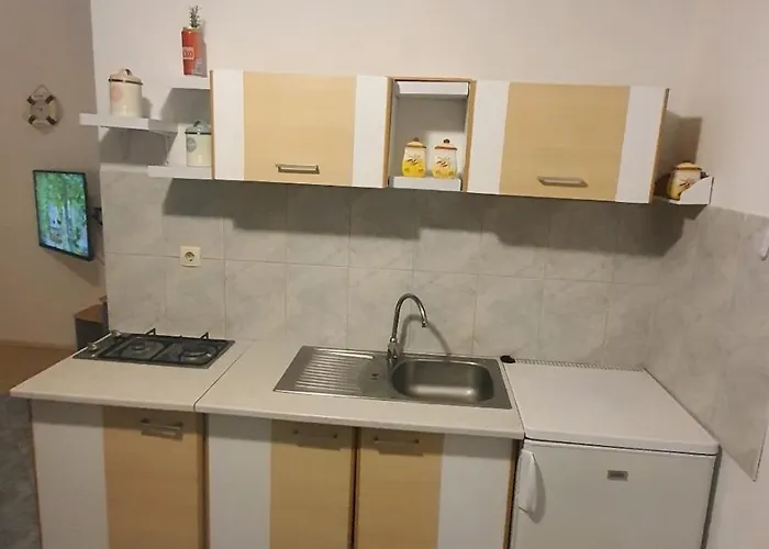 Appartement Filipovic *